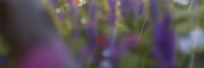 b3ar31's profile banner image