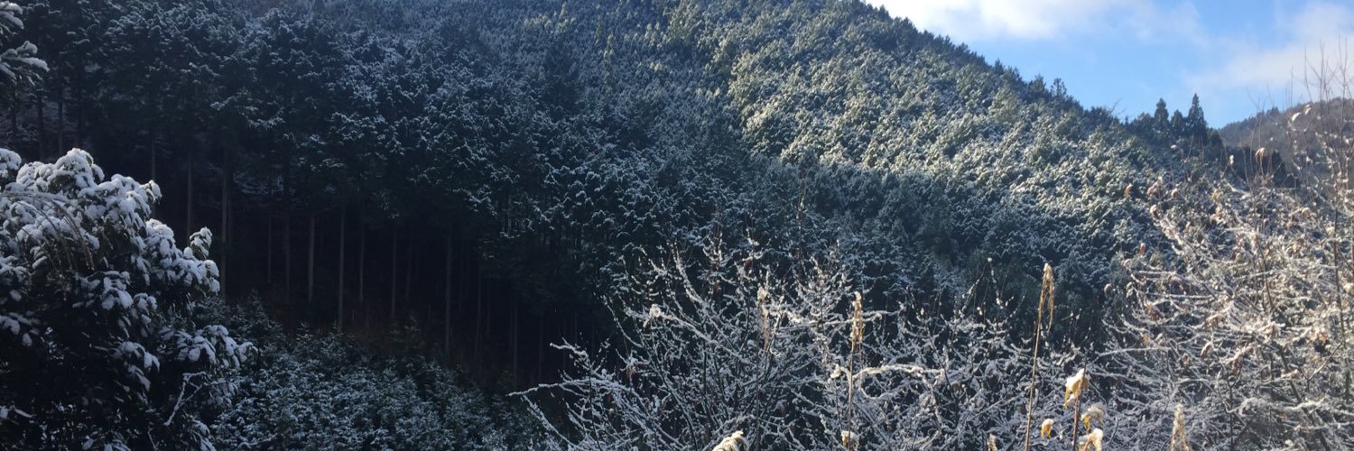 suhruser's profile banner image