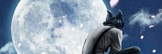 JaviCorona11's profile banner image