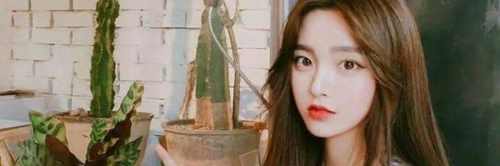 โมจิ banner