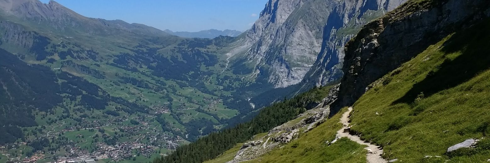 TrailGazing banner