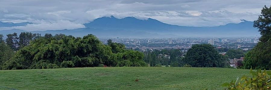 tsaninov's profile banner image