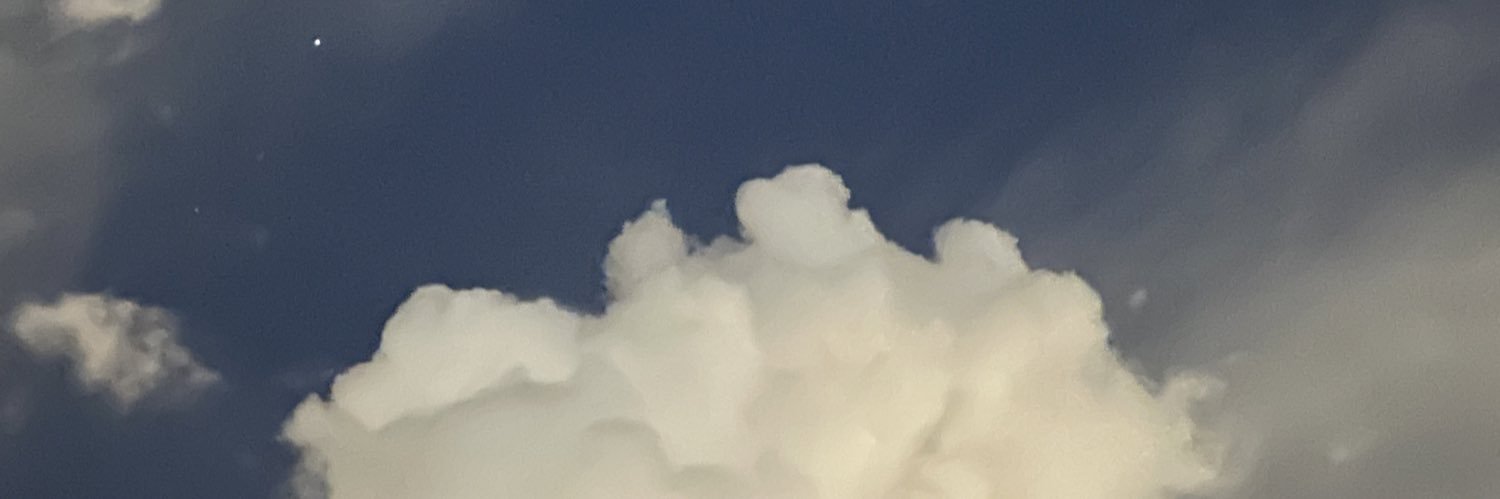 momta_ta's profile banner image
