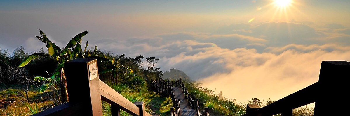 Regressor (Dr.) banner