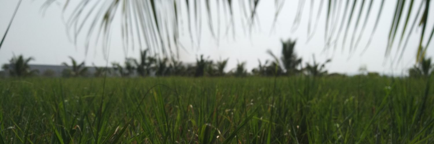 NitinBBelsare's profile banner image