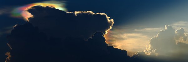 icefrog_sol Profile Banner