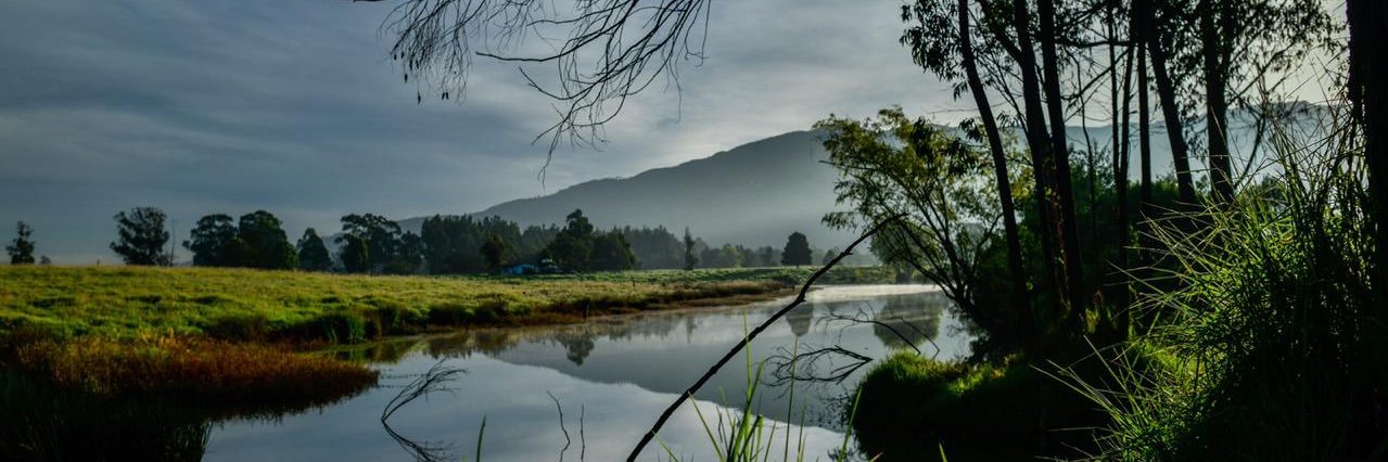 Claudia Calao banner