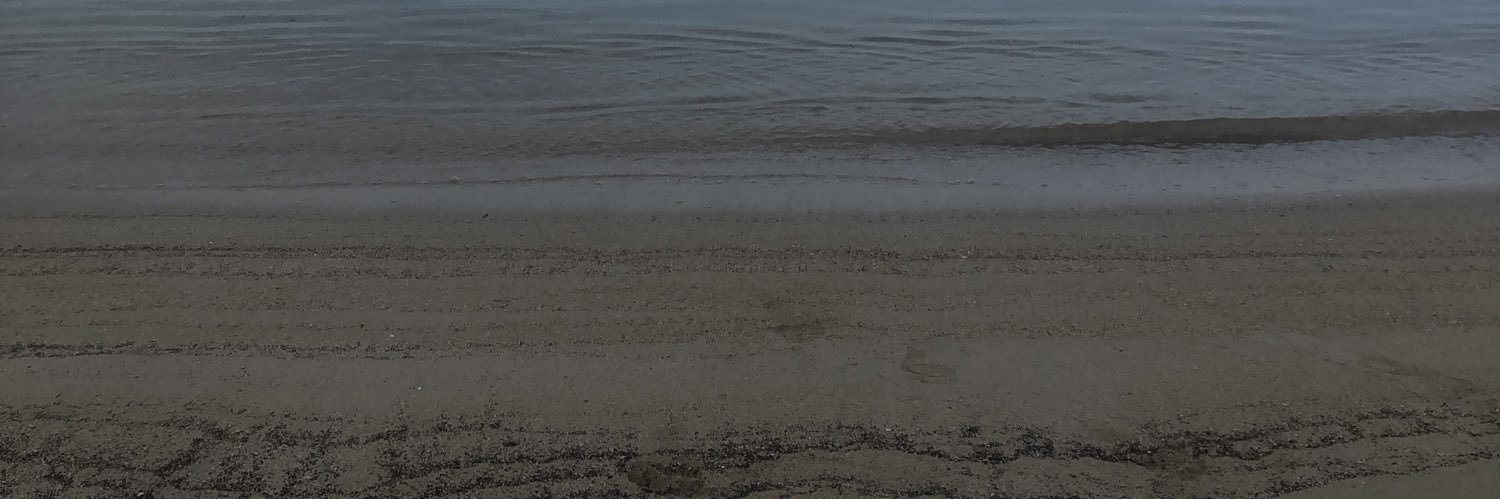 Monika Rutke's banner