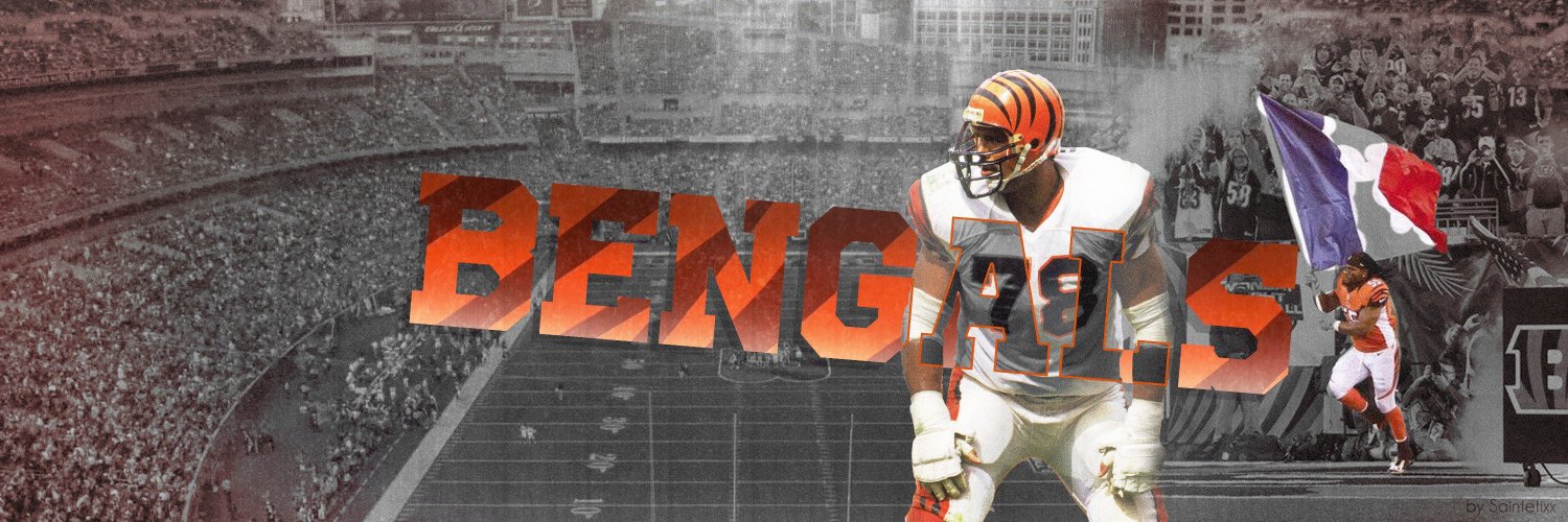 Bengals France 🐅🇫🇷 banner