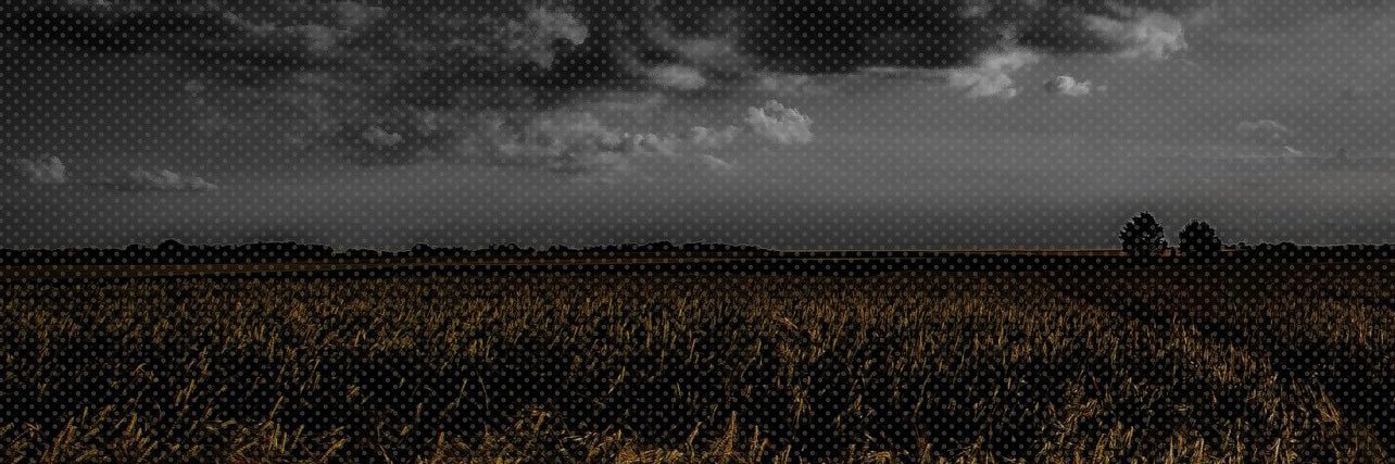 🅼🅶🆁  banner