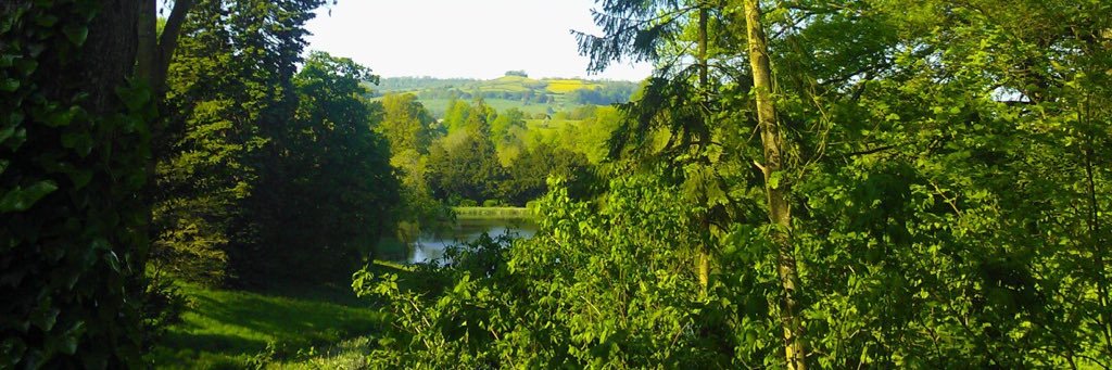 ssutherland5's profile banner image