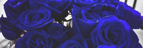 nourmahn's profile banner image