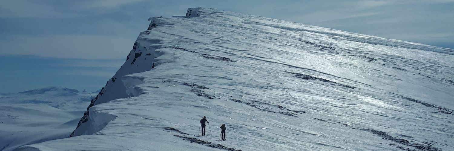 hanskemannen's profile banner image