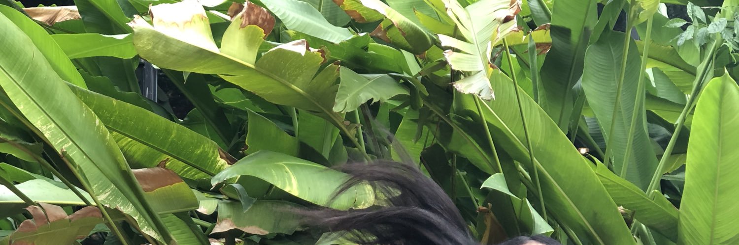norkaners's profile banner image