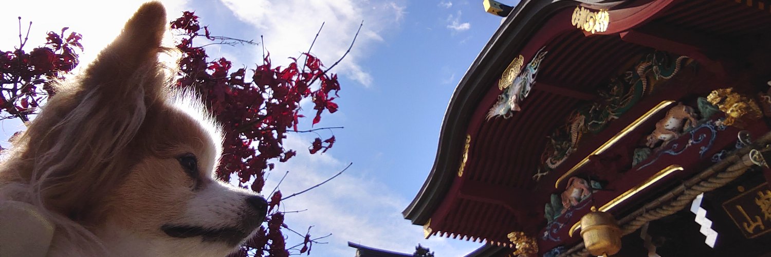 𓄇かおるにゃん✯✯✯ banner