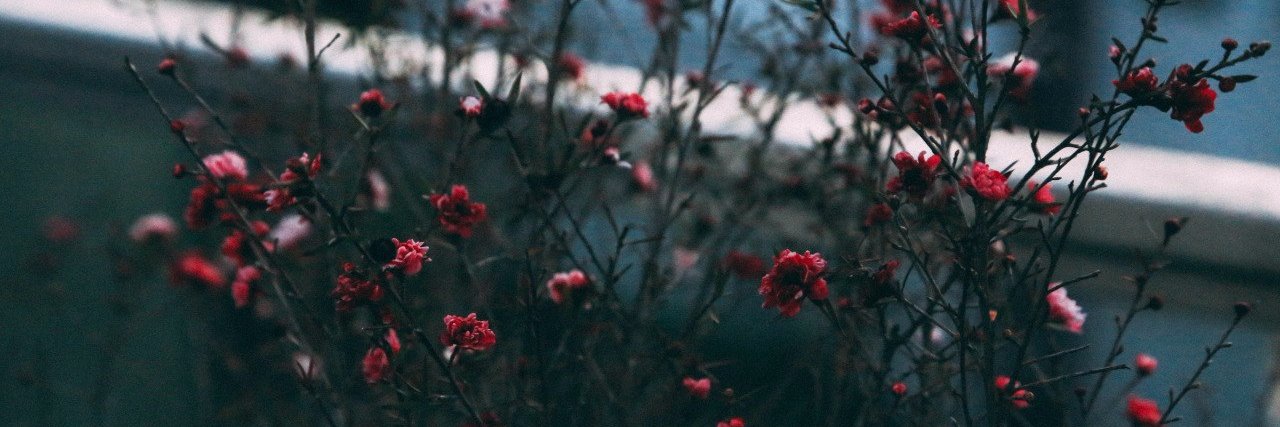 ENNUI_ADDICTION's profile banner image