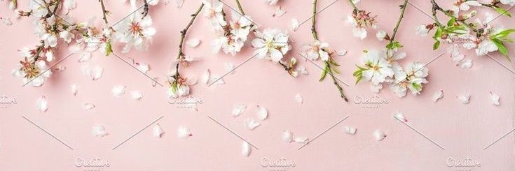 ismi_simi_'s profile banner image