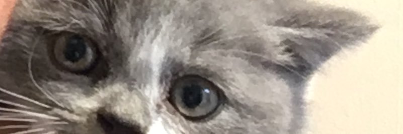 ZeynepOM banner