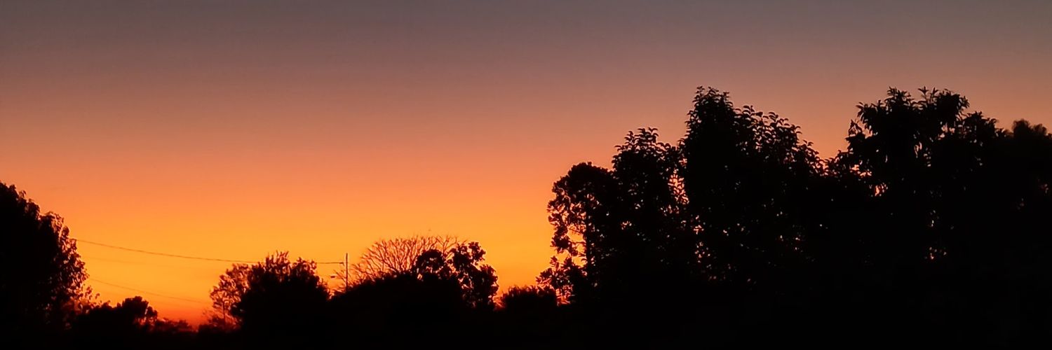 fortes_ale_'s profile banner image