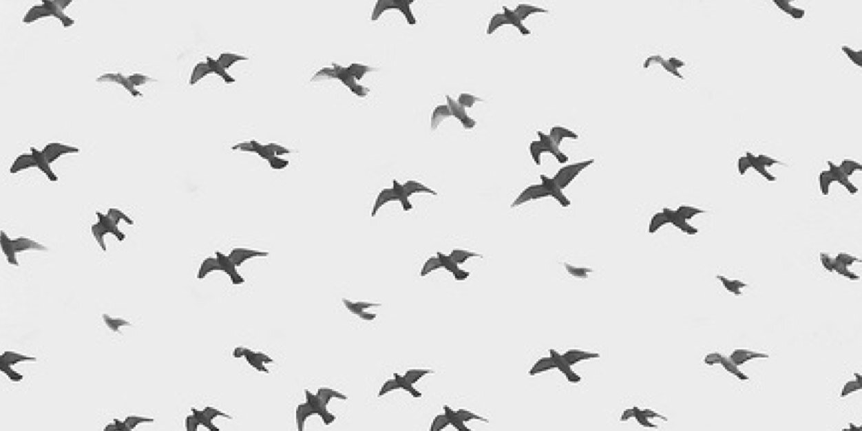 MirahPrimaa's profile banner image