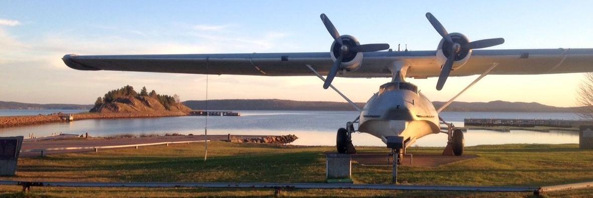 Town of Botwood banner