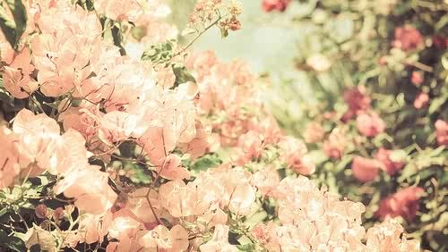 Indri Puji A. banner