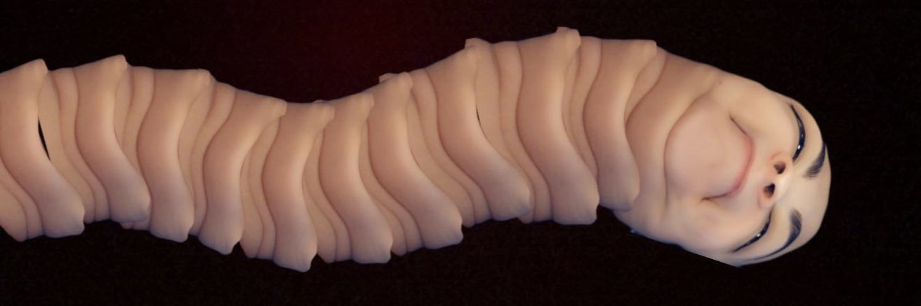 Holly McAllister ✿ banner