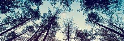 MarochkaLee's profile banner image