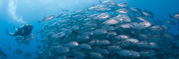 conservologist Profile Banner