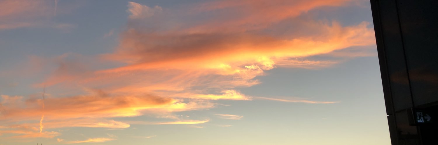 Alison K. Shea, MD, PhD banner