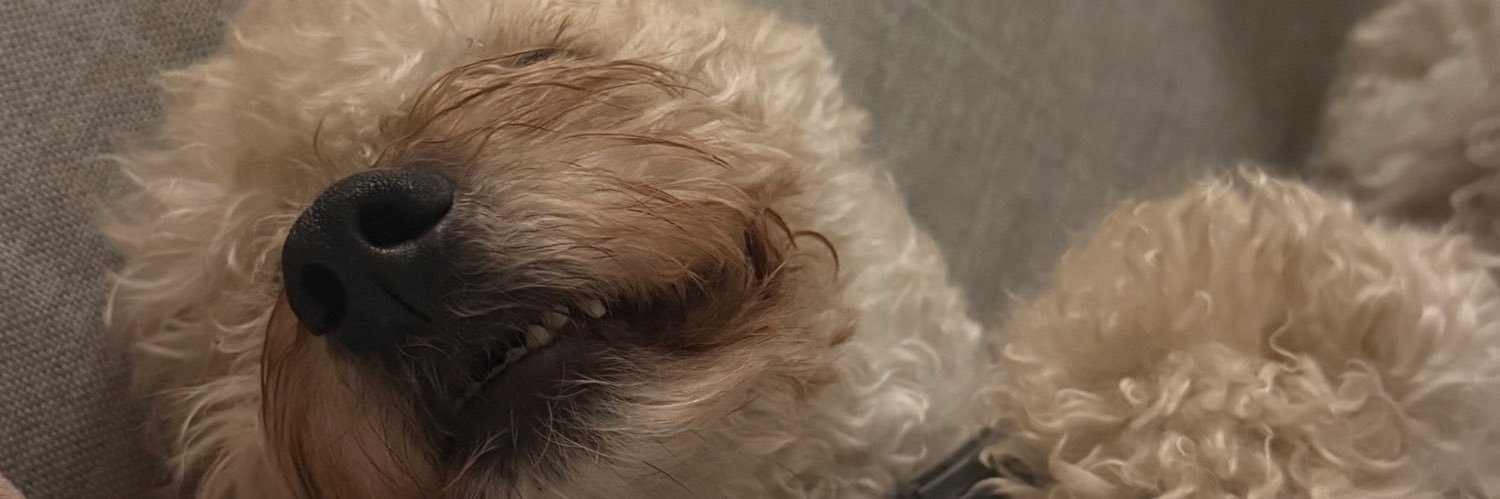 C A N D E L A banner