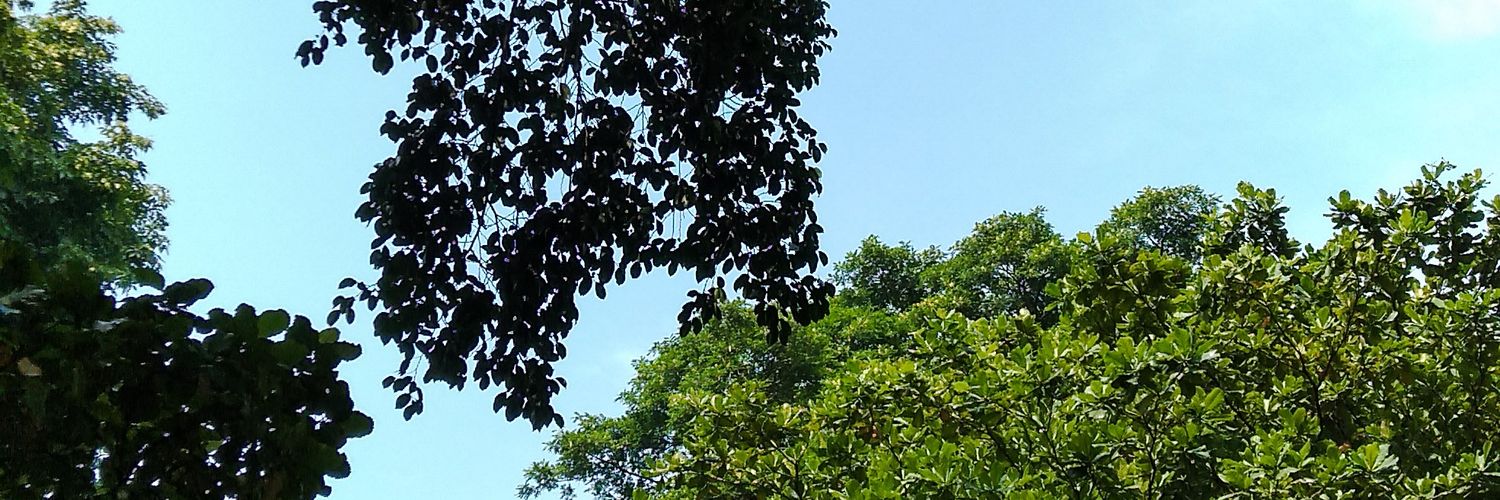 LigarPrasta's profile banner image