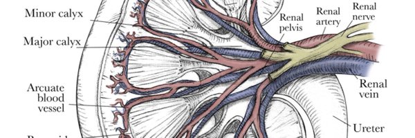 jwinokerMD Profile Banner