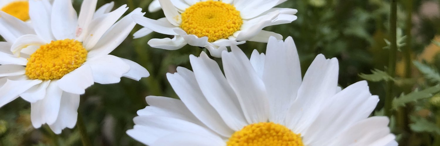 Bitsme_'s profile banner image