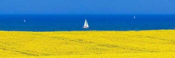 MFridrihsone Profile Banner