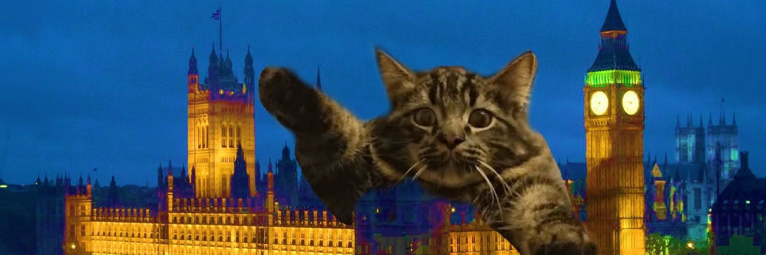 kjackjack's profile banner image
