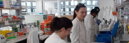 Ngo Lab Group banner