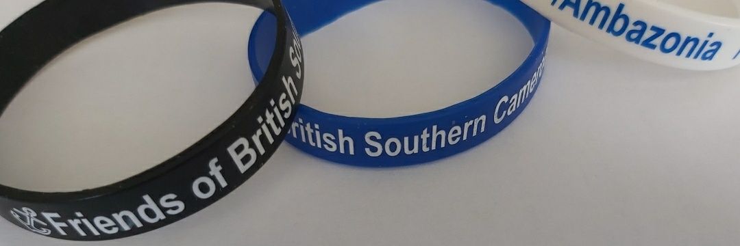 Friends Of British Southern Cameroons banner