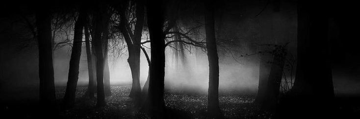 lostbetweenstars banner