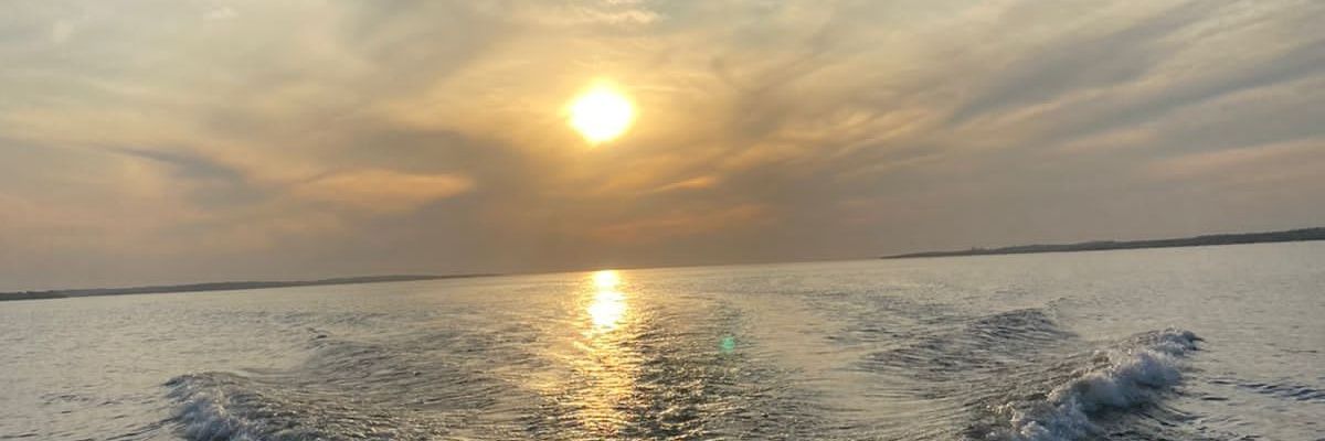 constanzac_'s profile banner image