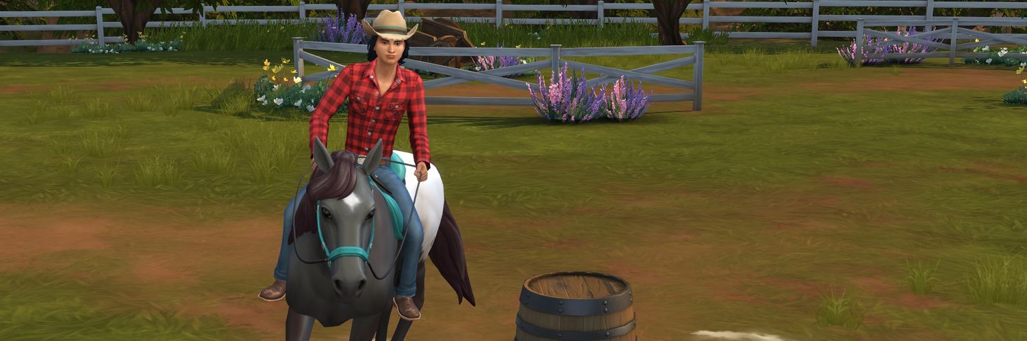 chaoticsimmer's profile banner image