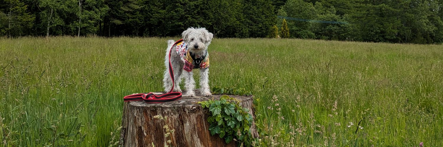 飯太雷門(パンタライモン) banner