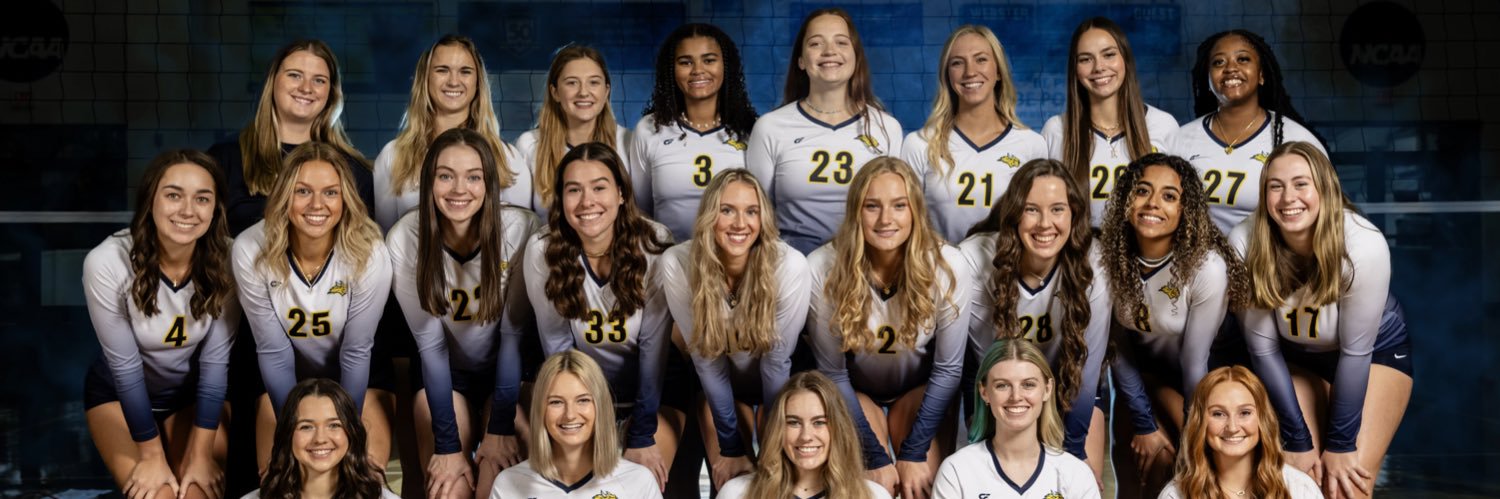 Webster University Volleyball banner