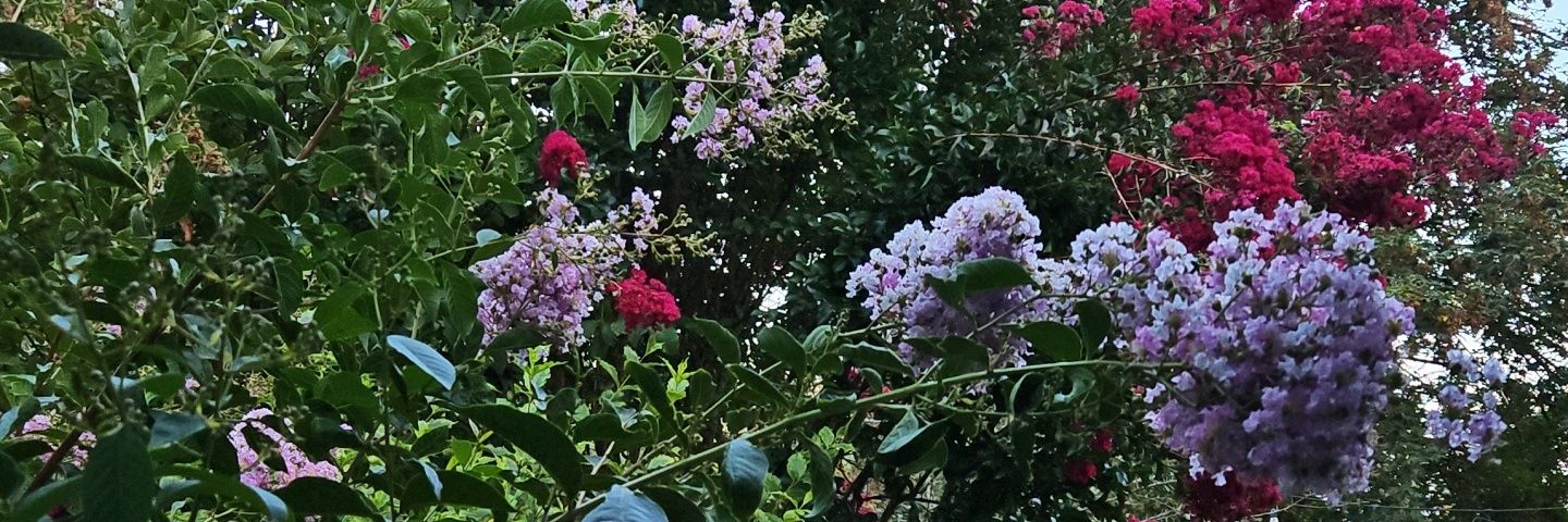 Bitterroot503's profile banner image