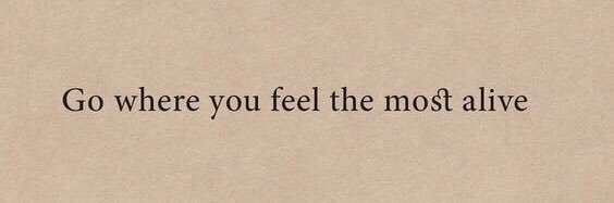 d e s i r e e banner