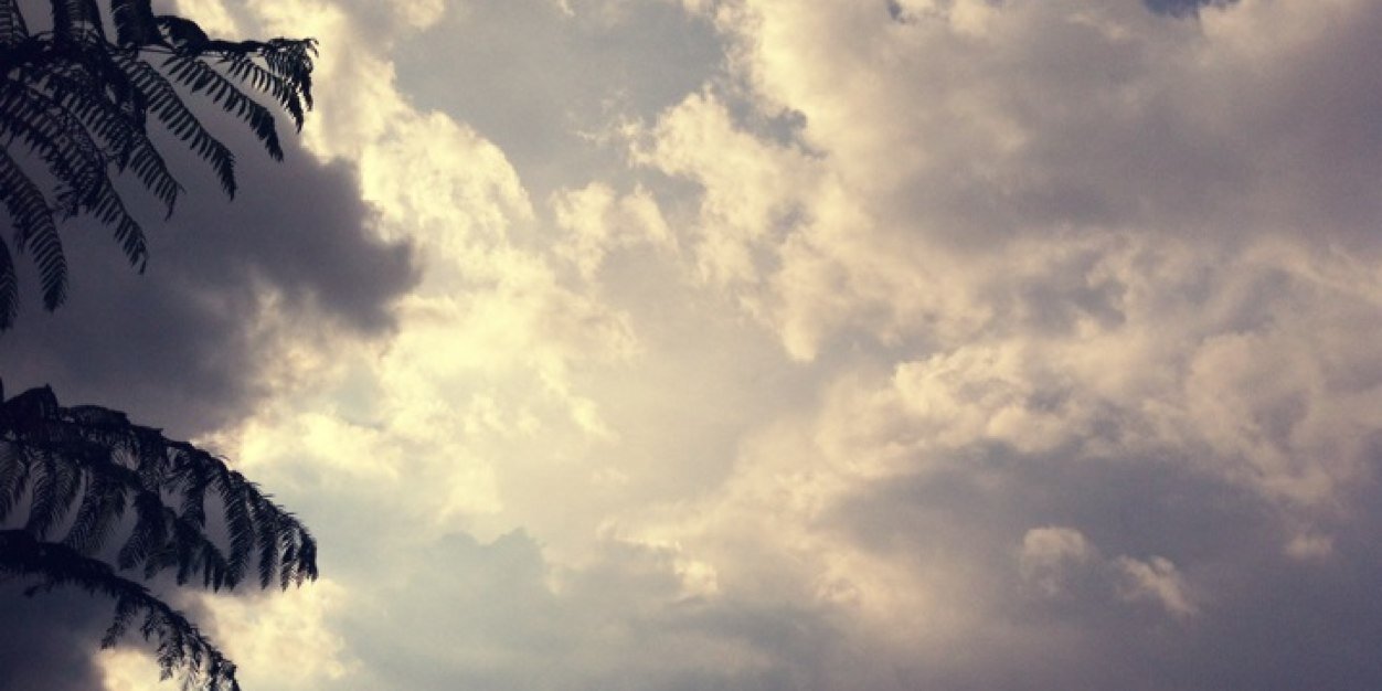 ulynouns's profile banner image