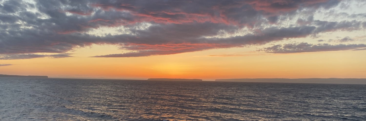 megandensmore's profile banner image
