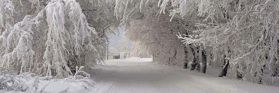 Ginarocksu 🇺🇸✝️ banner