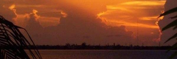 ginarocksu's profile banner image