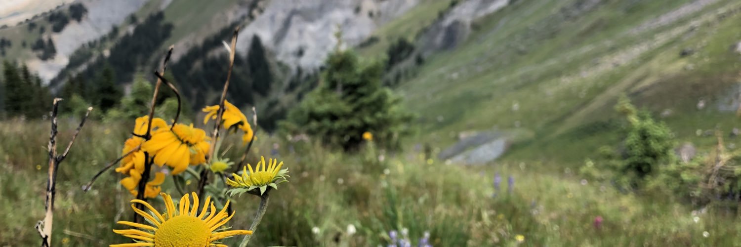 JulieKorb's profile banner image